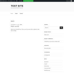 Page screenshot: Test site &ndash; Just another WordPress site