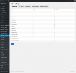 Page screenshot: PVS &ndash; Settings &rarr; Video