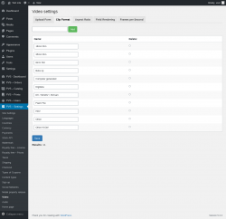 Page screenshot: PVS &ndash; Settings &rarr; Video &rarr; Clip Format