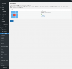 Page screenshot: PVS &ndash; Settings &rarr; Watermark