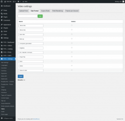 Page screenshot: PVS &ndash; Settings &rarr; Video &rarr; Clip Format