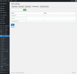 Page screenshot: PVS &ndash; Settings &rarr; Video &rarr; Field Rendering