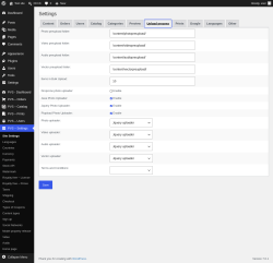 Page screenshot: PVS &ndash; Settings &rarr; Upload process