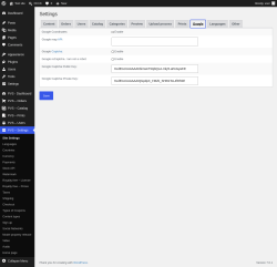 Page screenshot: PVS &ndash; Settings &rarr; Google