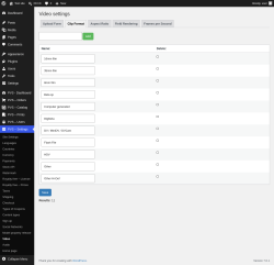Page screenshot: PVS &ndash; Settings &rarr; Video &rarr; Clip Format