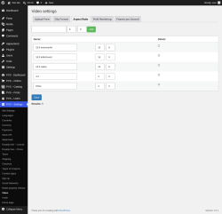 Page screenshot: PVS &ndash; Settings &rarr; Video &rarr; Aspect Ratio