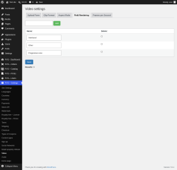 Page screenshot: PVS &ndash; Settings &rarr; Video &rarr; Field Rendering