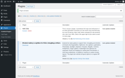 Page screenshot: Plugins ‹ Test site — WordPress