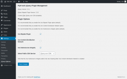 Page screenshot: Settings &rarr; jQuery Options