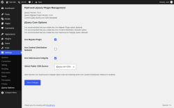 Page screenshot: Settings &rarr; jQuery Options
