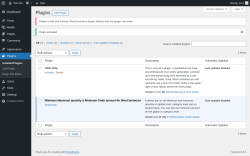 Page screenshot: Plugins ‹ Test site — WordPress