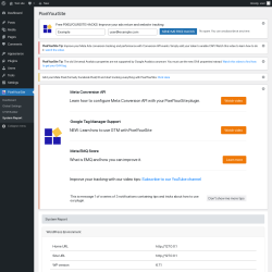 Page screenshot: PixelYourSite → System Report