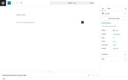 Page screenshot: Add Post ‹ Test site — WordPress