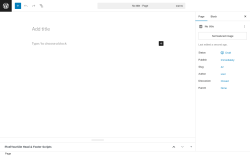 Page screenshot: Add Page ‹ Test site — WordPress