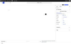 Page screenshot: Add Post &lsaquo; Test site &mdash; WordPress