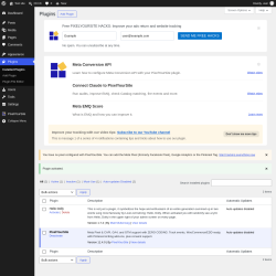 Page screenshot: Plugins &lsaquo; Test site &mdash; WordPress