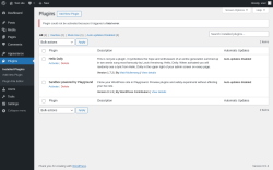 Page screenshot: Plugins ‹ Test site — WordPress