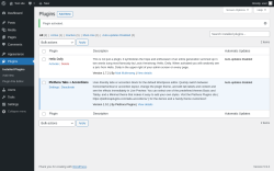 Page screenshot: Plugins ‹ Test site — WordPress