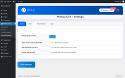 Page screenshot: PlinkLy CTA → General Settings