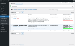 Page screenshot: Plugins ‹ Test site — WordPress