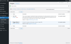 Page screenshot: Plugins &lsaquo; Test site &mdash; WordPress