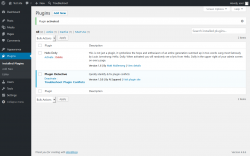 Page screenshot: Plugins &lsaquo; Test site &mdash; WordPress