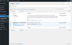 Page screenshot: Plugins &lsaquo; Test site &mdash; WordPress