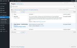 Page screenshot: Plugins &lsaquo; Test site &mdash; WordPress