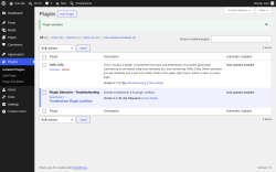 Page screenshot: Plugins &lsaquo; Test site &mdash; WordPress