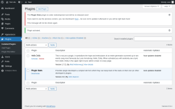 Page screenshot: Plugins &lsaquo; Test site &mdash; WordPress