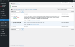Page screenshot: Plugins &lsaquo; Test site &mdash; WordPress