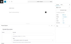 Page screenshot: Episodes → Add New Episode