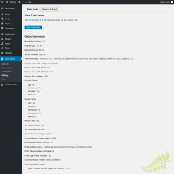 Page screenshot: Pods Admin → Settings