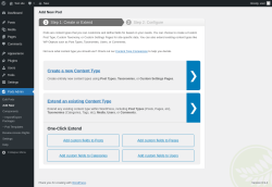 Page screenshot: Pods Admin &rarr; Add New