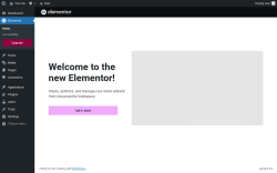 Page screenshot: Elementor