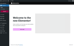 Page screenshot: Elementor