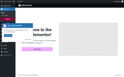 Page screenshot: Elementor
