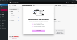 Page screenshot: Elementor &rarr; Accessibility
