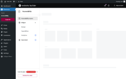 Page screenshot: Elementor &rarr; Accessibility