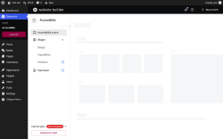 Page screenshot: Elementor &rarr; Accessibility