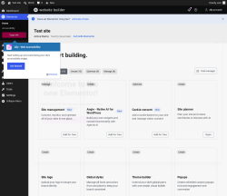 Page screenshot: Elementor