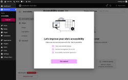 Page screenshot: Elementor &rarr; Accessibility