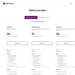 Page screenshot: Elementor &rarr; Upgrade