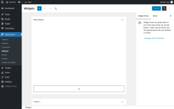 Page screenshot: Widgets &lsaquo; Test site &mdash; WordPress