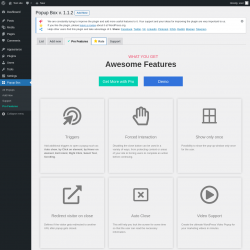 Page screenshot: Popup Box &rarr; Pro Features &rarr;  Rate