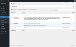 Page screenshot: Plugins &lsaquo; Test site &mdash; WordPress