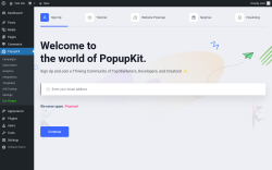 Page screenshot: PopupKit &rarr; Settings