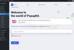 Page screenshot: PopupKit &rarr; Analytics