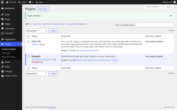 Page screenshot: Plugins &lsaquo; Test site &mdash; WordPress
