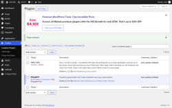 Page screenshot: Plugins &lsaquo; Test site &mdash; WordPress